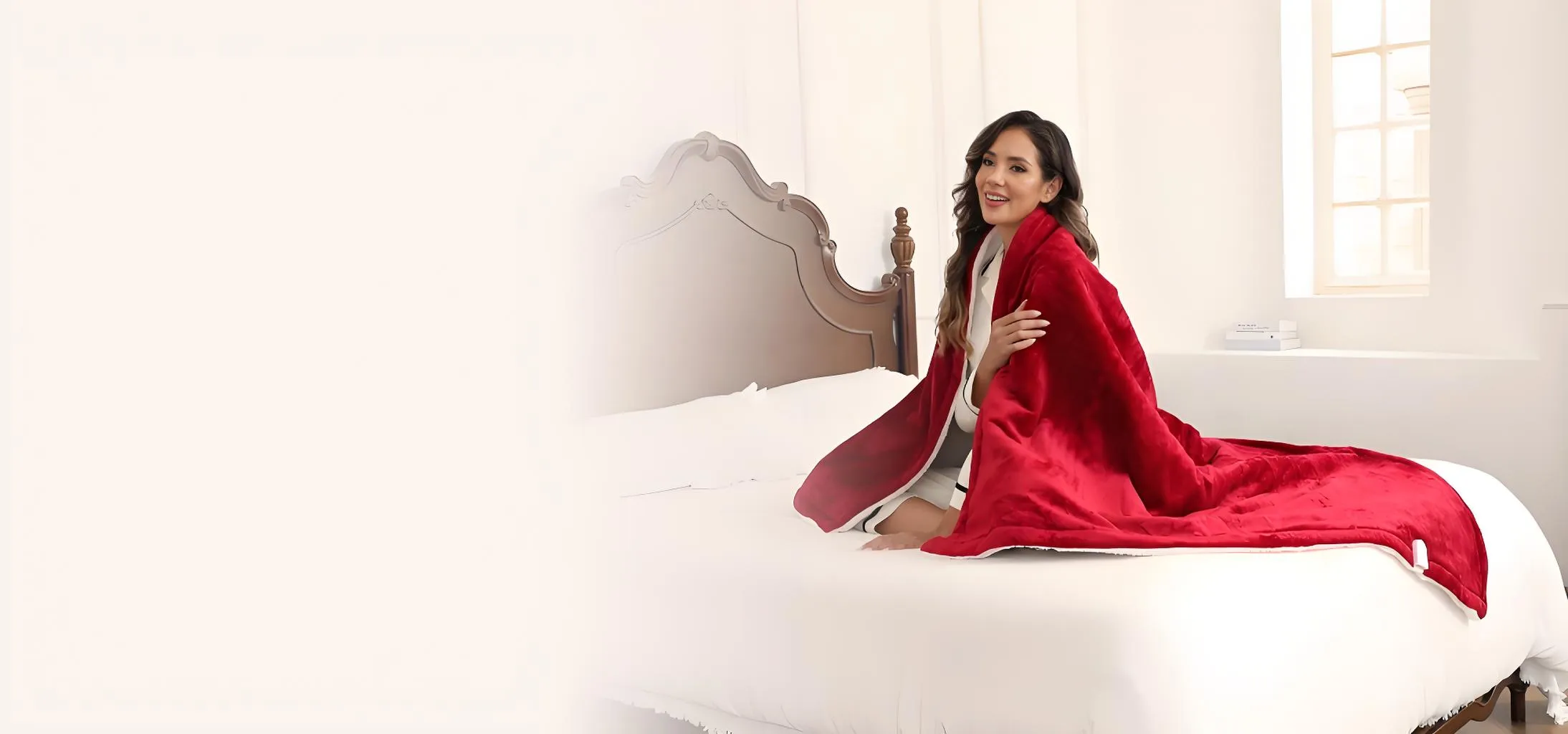 manufacturer of electric blanket and electric heating appliances