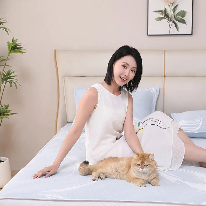 Pattern Collection Ice Silk Mattress Cover